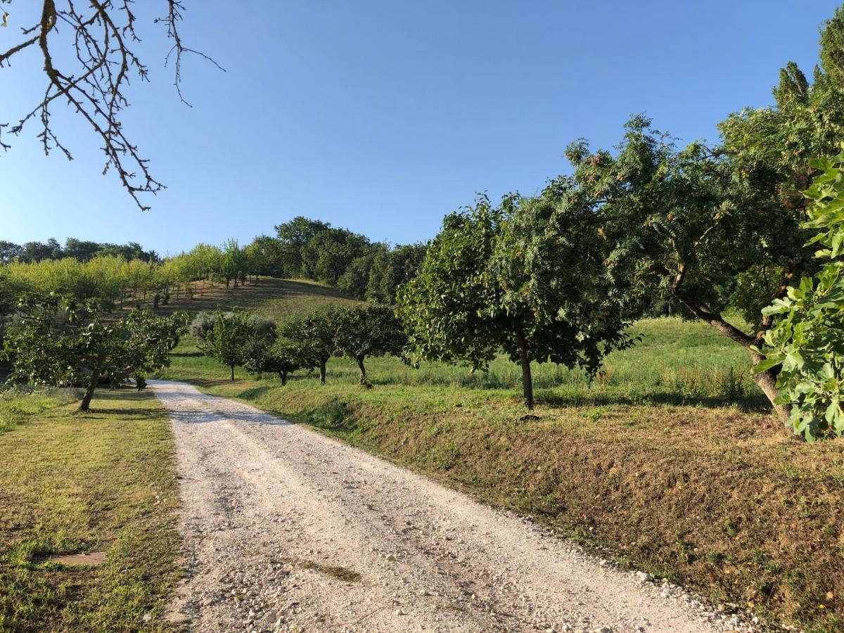 Dai Ventu Bed & Breakfast Pesaro Exterior photo